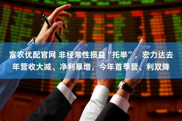 富农优配官网 非经常性损益“托举”，宏力达去年营收大减、净利暴增，今年首季营、利双降