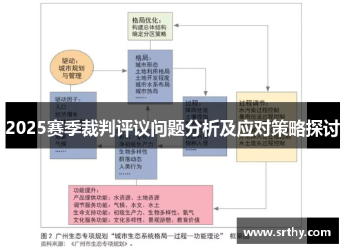 2025赛季裁判评议问题分析及应对策略探讨