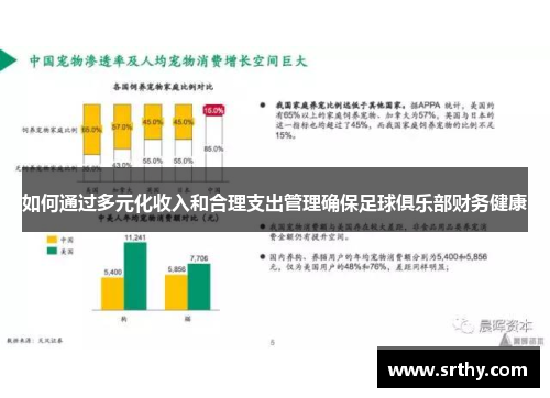 如何通过多元化收入和合理支出管理确保足球俱乐部财务健康 如何通过多元化收入和合理支出管理确保足球俱乐部财务健康
